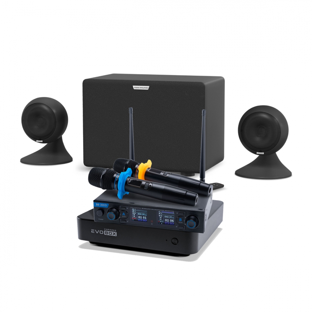 караоке-комплект EVOBOX + EvoSound Sphere 2.1 в Тосно