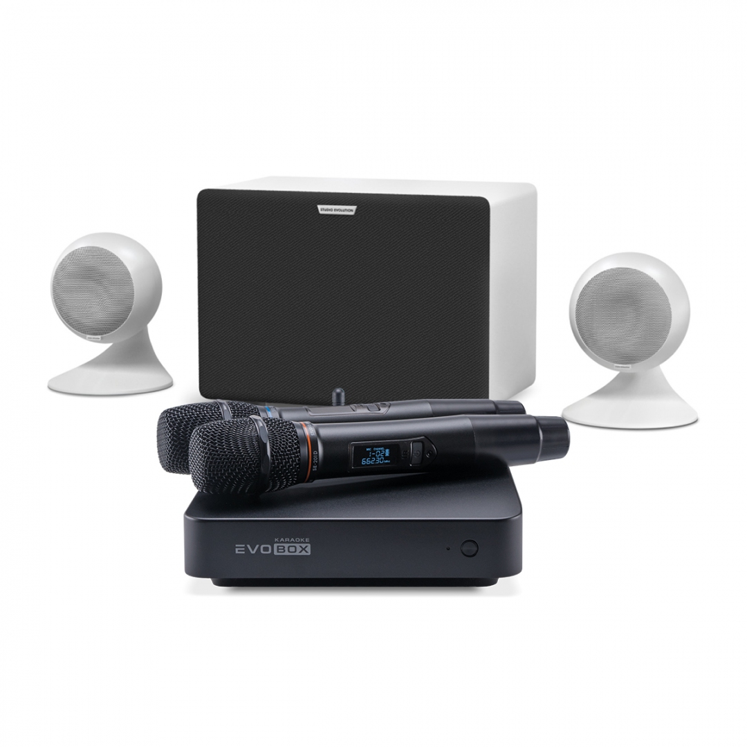 караоке-комплект EVOBOX Classic + EvoSound Sphere 2.1 в Тосно