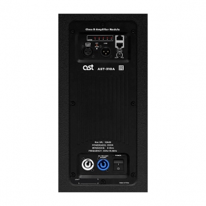 Активная акустическая система AST-310A в Тосно